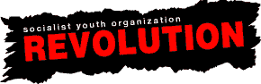 REVOLUTION - socialist youth organization